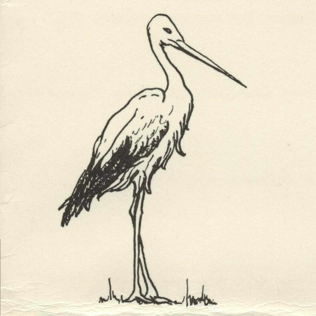 La Cigogne d’Alsace