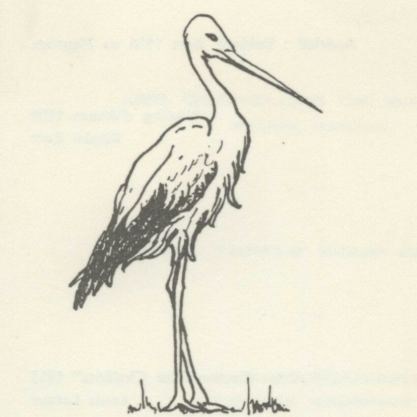 La Cigogne d’Alsace