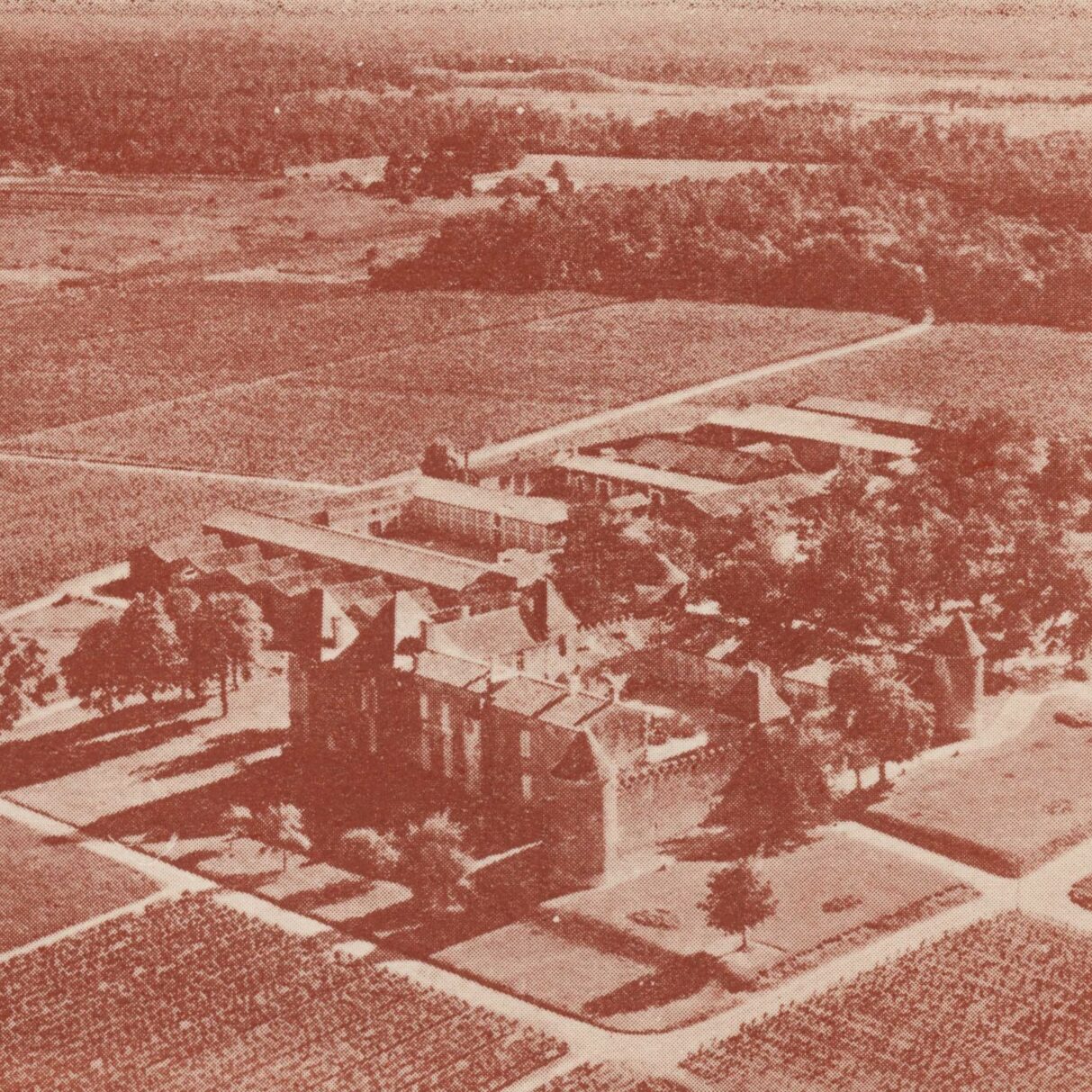 Château d’Yquem